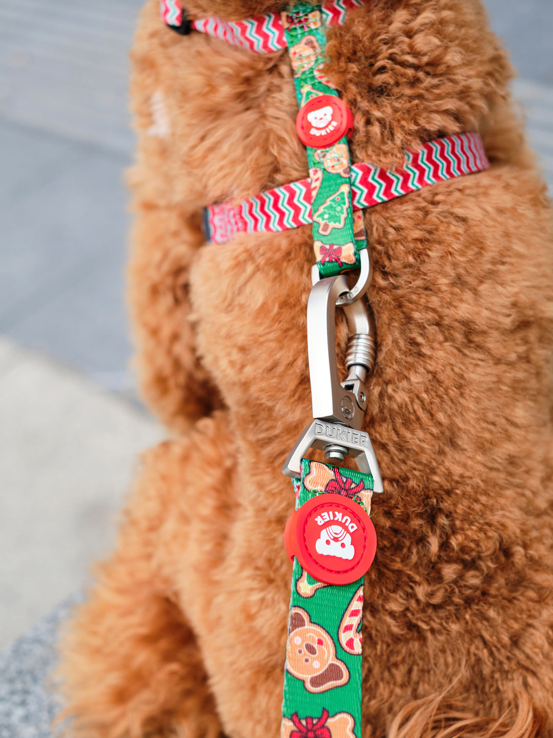 CLASSIC HARNESS GINGER BREAD FOR DOGS