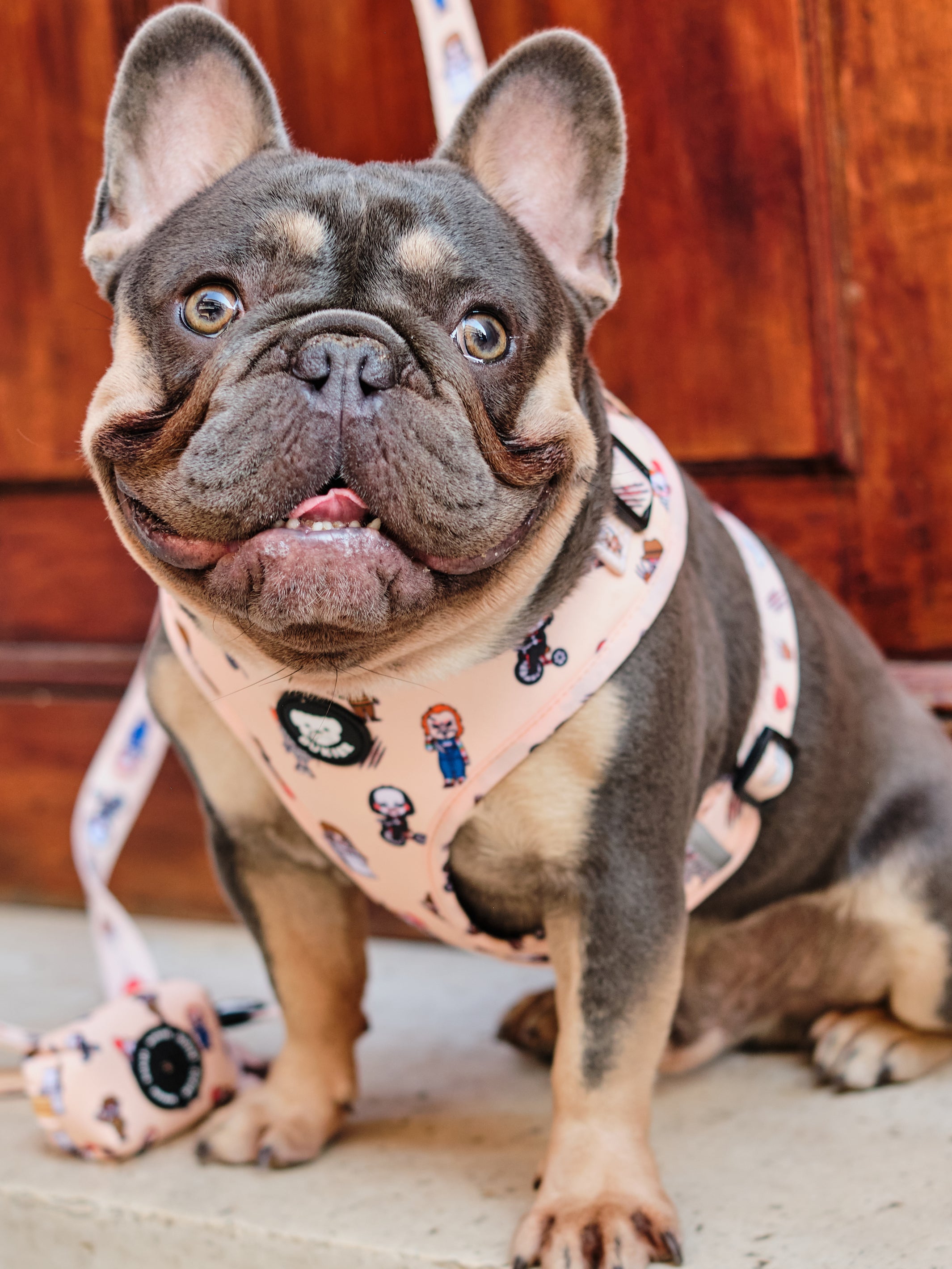 HORROR ADJUSTABLE DOG HARNESS