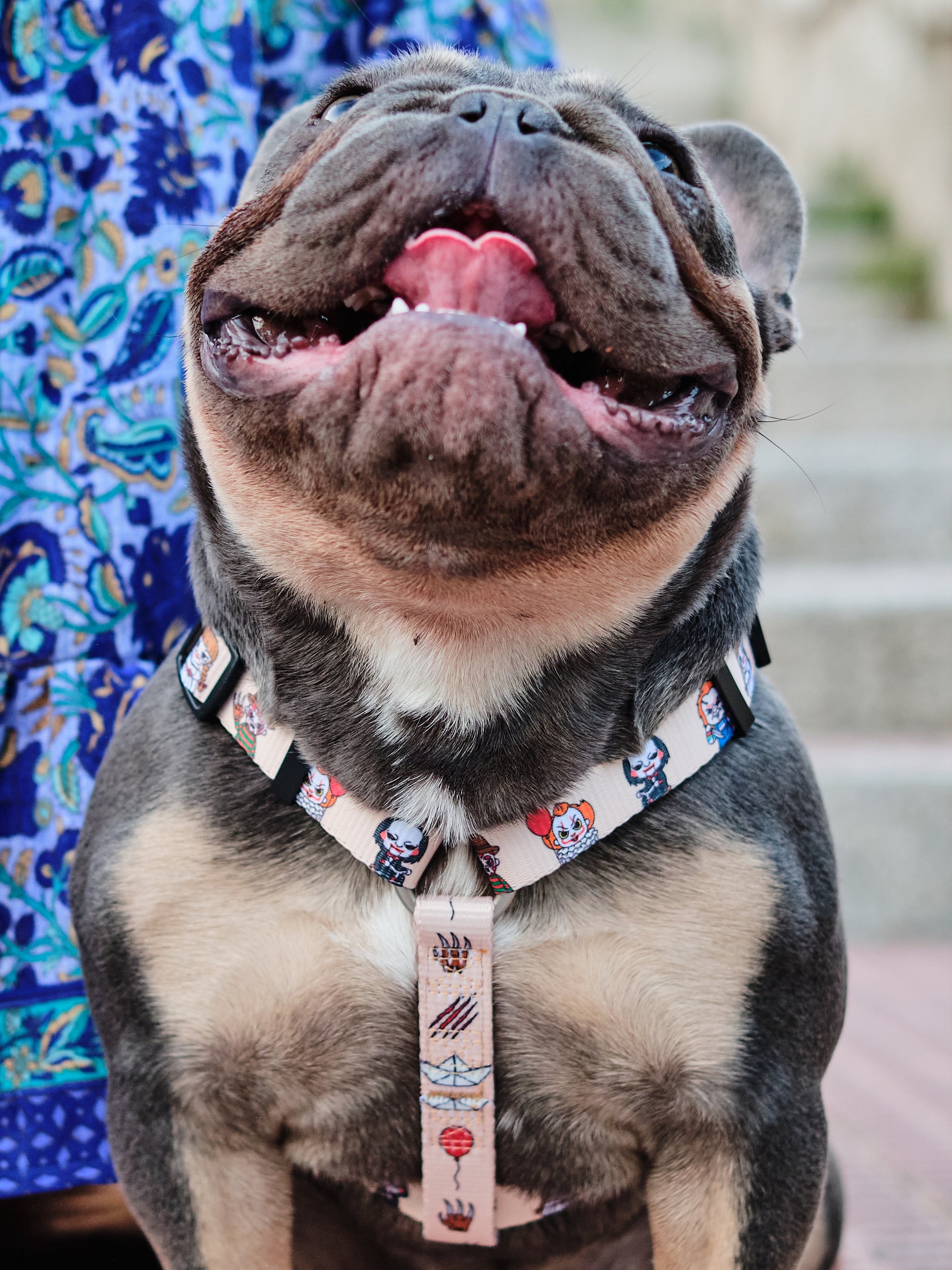 CLASSIC HARNESS HORROR FOR DOGS