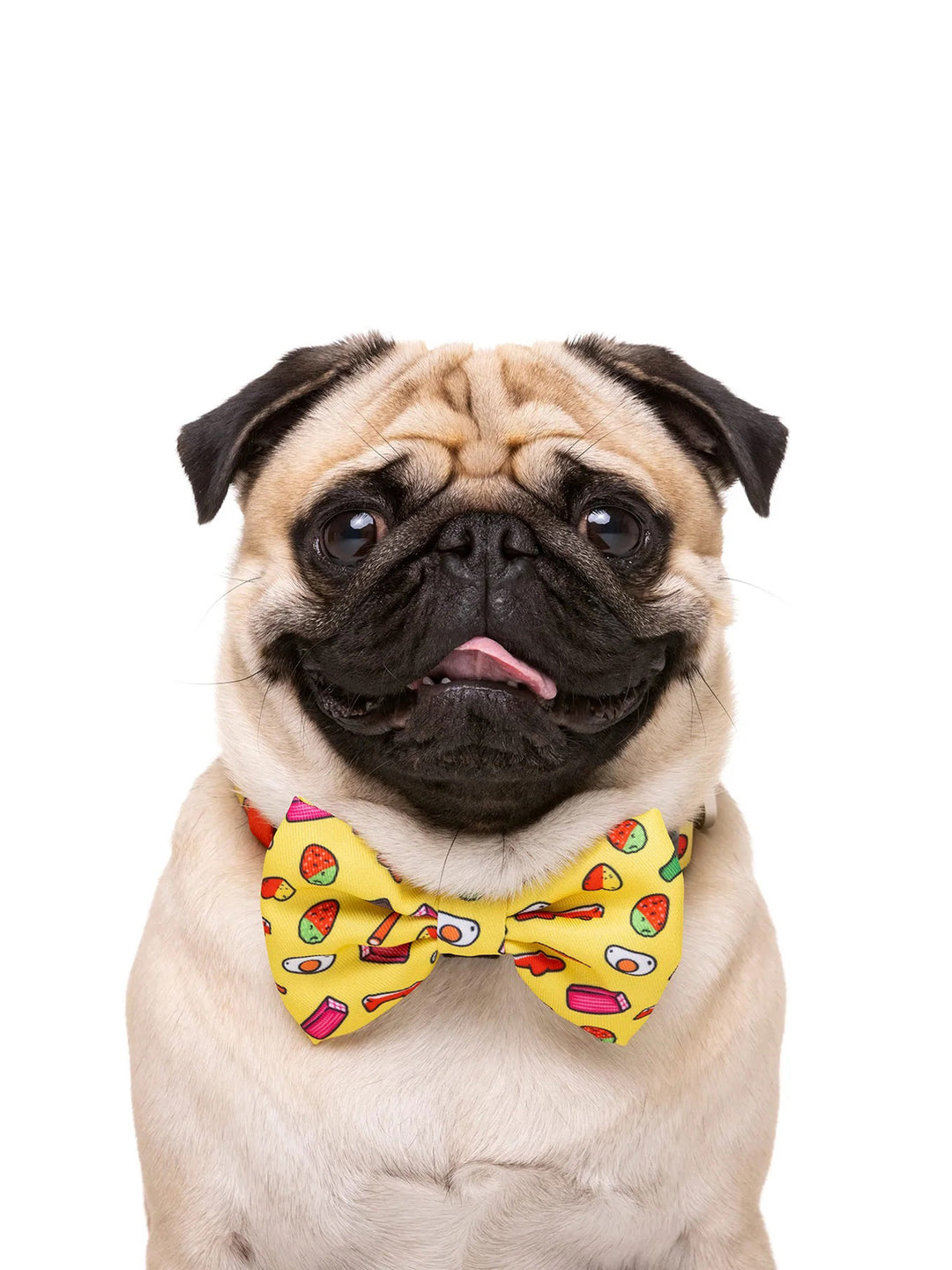 SWEETS BOW TIE FOR DOGS