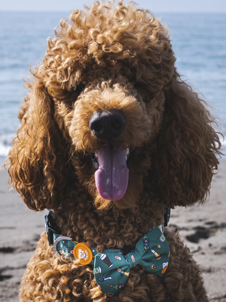 BEER BOW TIE FOR DOGS