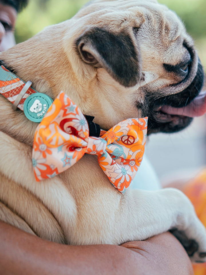 PEACE BOW TIE FOR DOGS