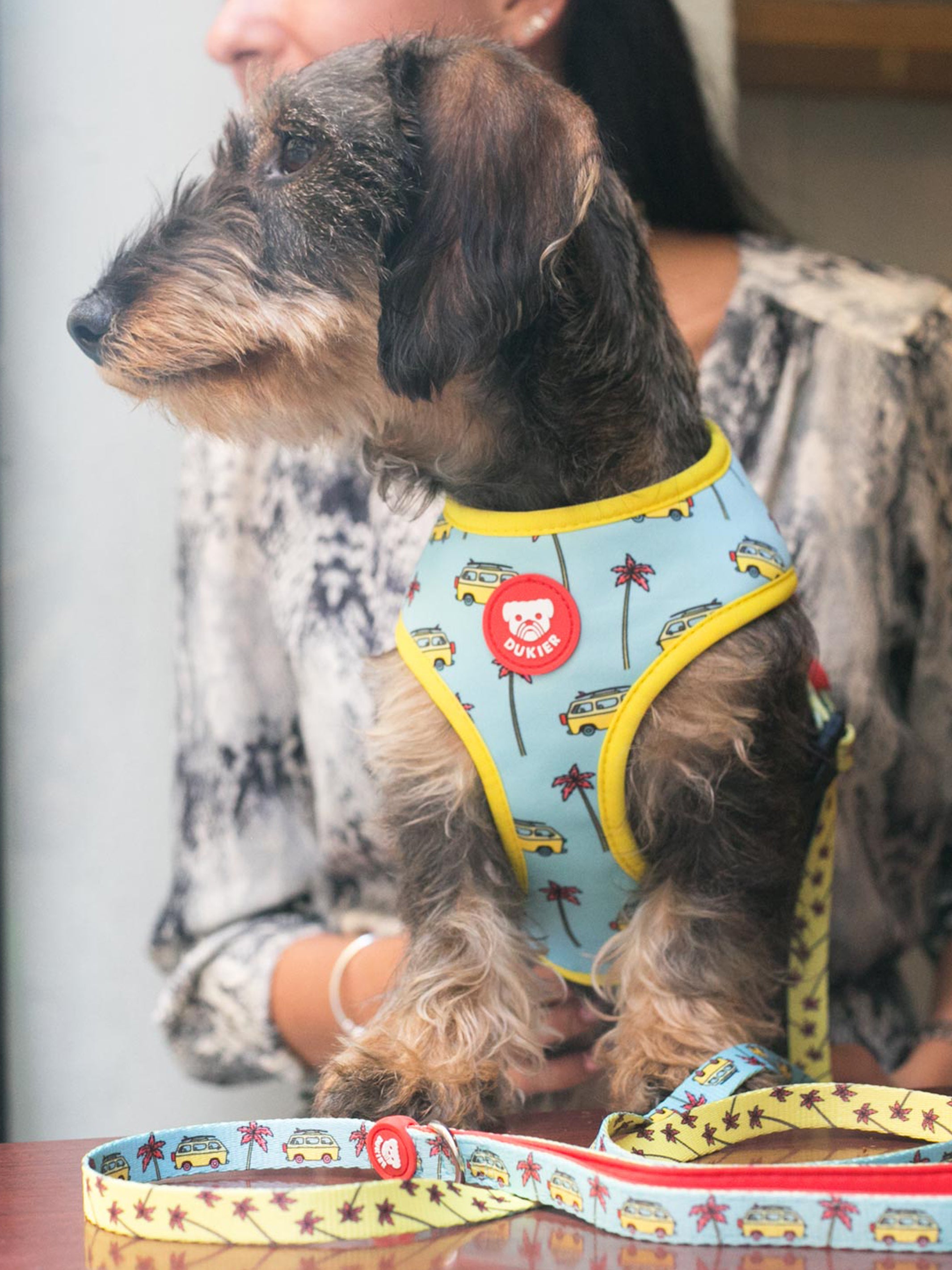 CALIFORNIA REVERSIBLE HARNESS FOR DOGS