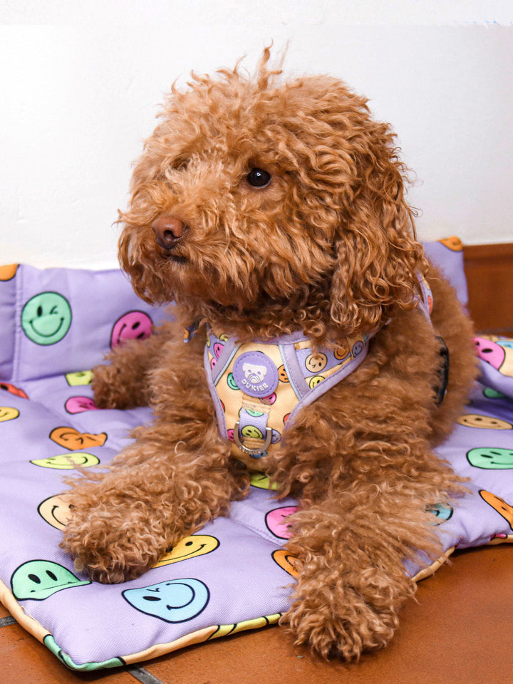 ROLL UP PET MAT: SMILEY