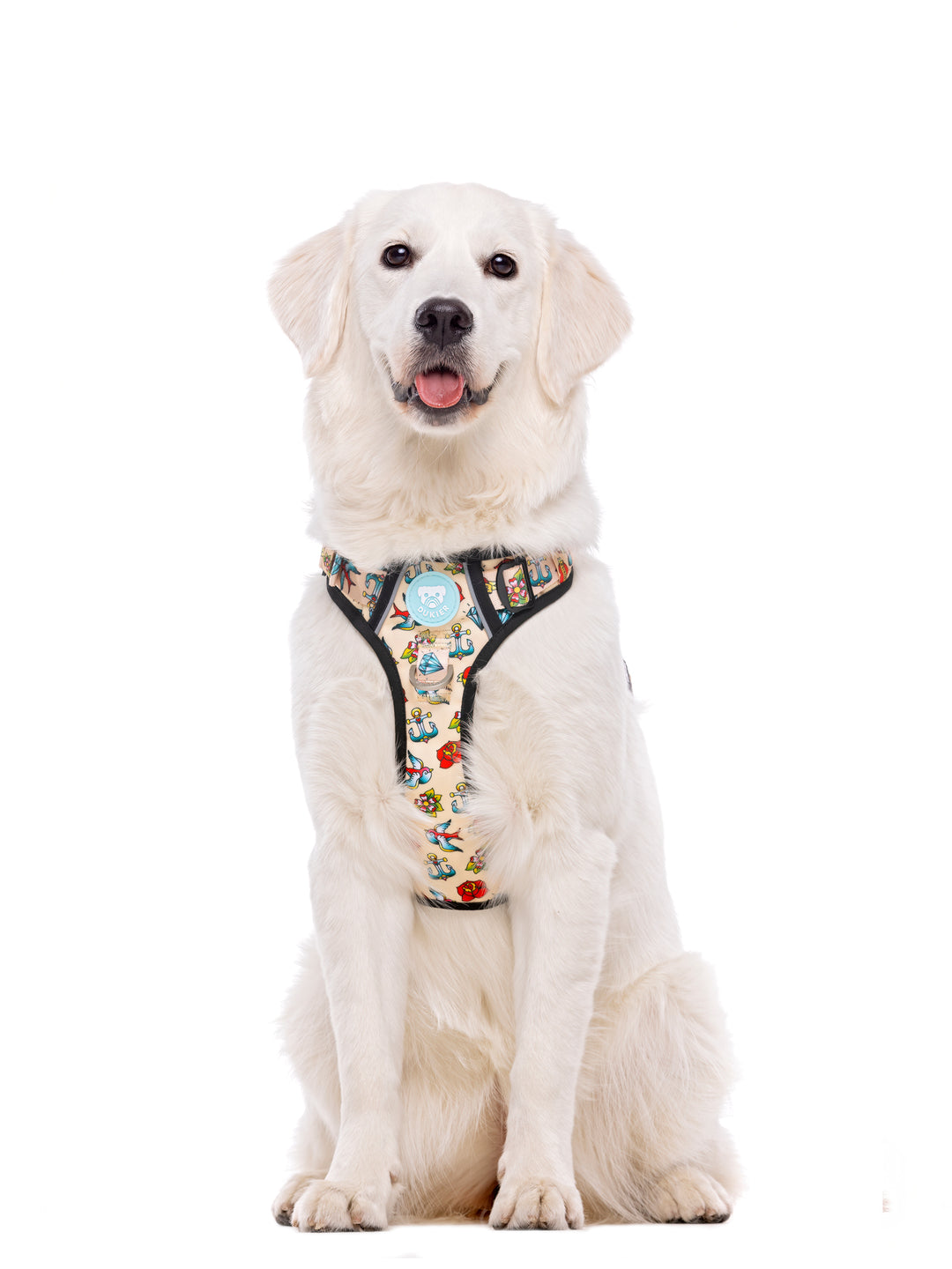 TRAIL HUNDEGESCHIRR TATTOO
